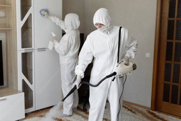 Best Certified Mold Removal  in Wolverine Lake, MI