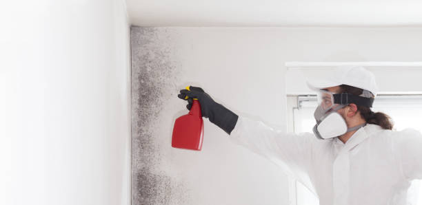 Best Mold Remediation  in Wolverine Lake, MI